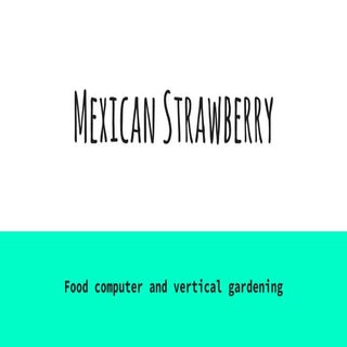Mexican Strawberry - indoor farming...