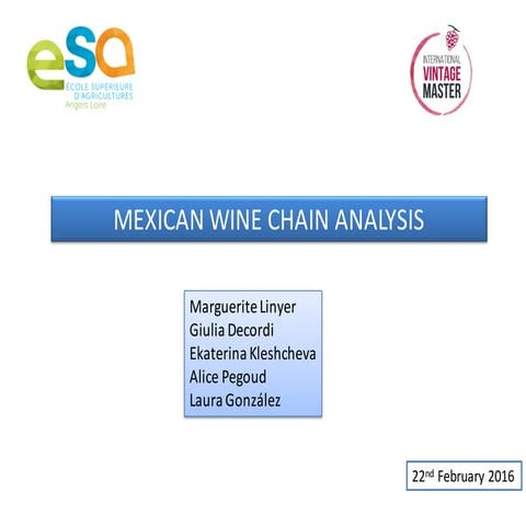 Mexican Wine Chain Analysis