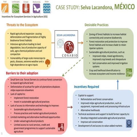 Incentives for Ecosystem Services - Mexico