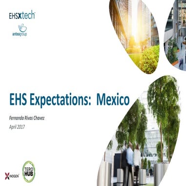 EHS Expectations in Mexico: An Overview | PDF