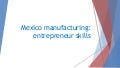Mexico manufacturing and entrepreneur skills
