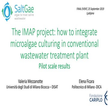 The IMAP project - SaltGae Final event 