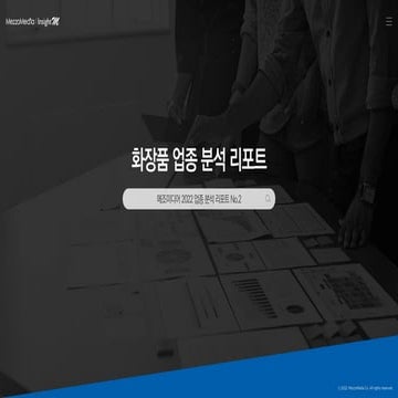 [메조미디어] 2022 화장품 업종 분석 리포트