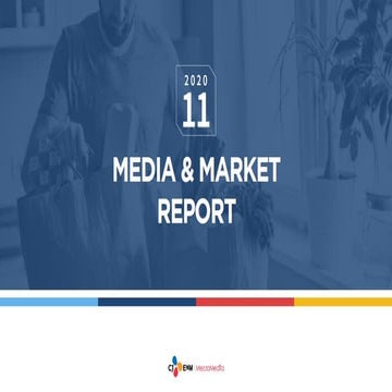 MezzoMedia Media & Market Report (2020.11)