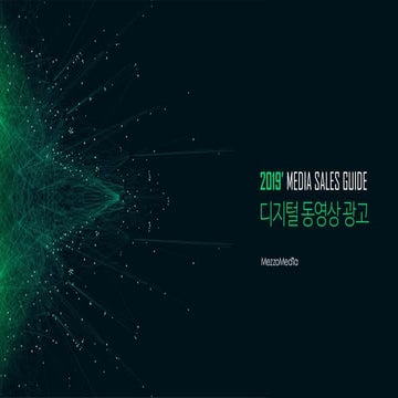 MezzoMedia - MEDIA SALES GUIDE [2019년 디지털 동영상 광고]