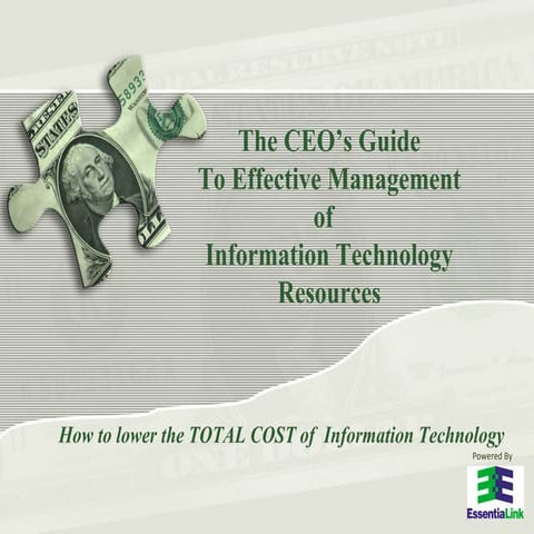 CEO's Guide to Effective IT Management