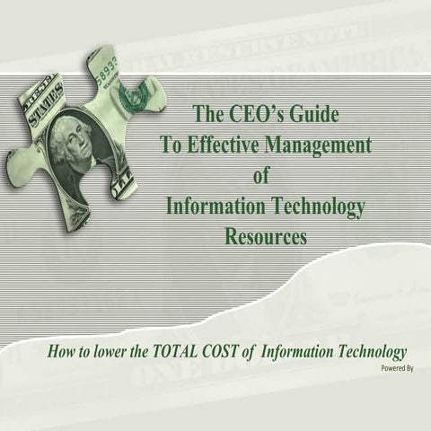 CEO's Guide Effective IT Management