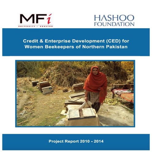 Credit & Enterprise Development (CED) Final Report For Micro Finance Initiati...