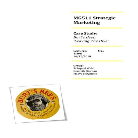 STRATEGIC MARKETING PLAN AND AUDIT - BURTS BEES