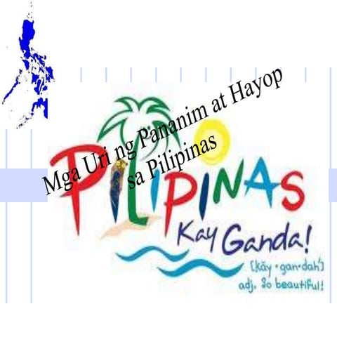 Mga uri ng Halaman sa Pilipinas ( Grade 4 )