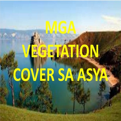 Mga vegetation cover sa asya