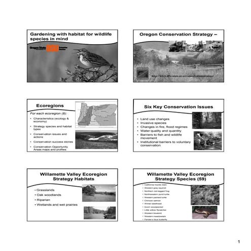 Habitat Enhancements