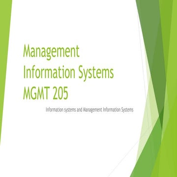 Management Information Systems MGMT205