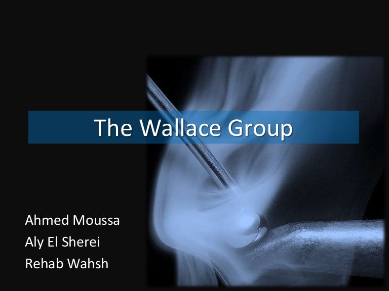 MGMT508 The Wallace Group Case
