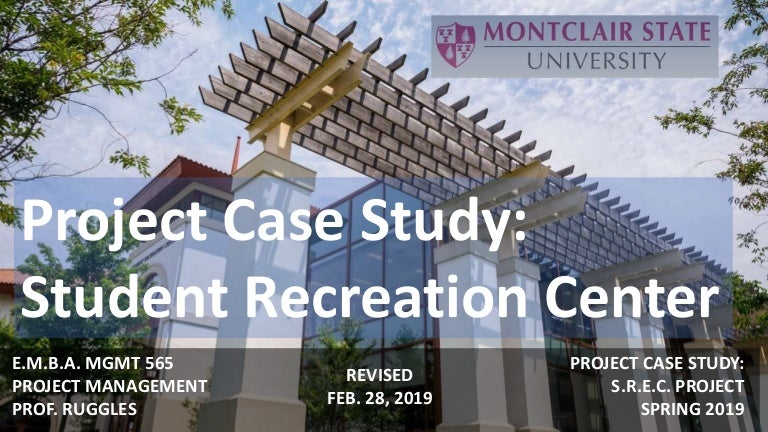 Ppt case study template picture