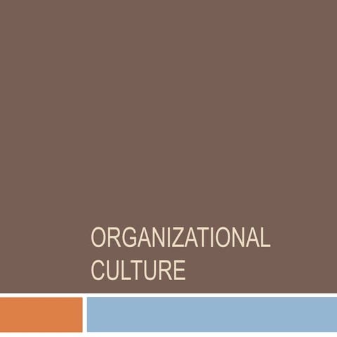 organisation culture