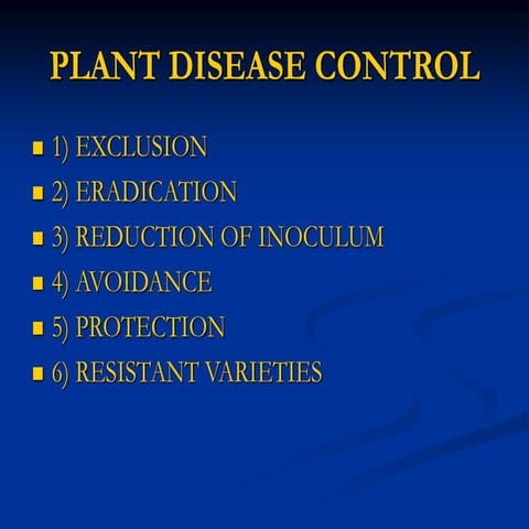 MG Plant Diseases 2006 3.ppt