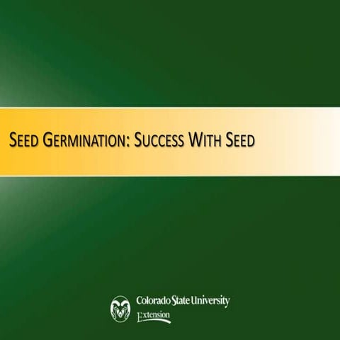 Mg seed germination workshop