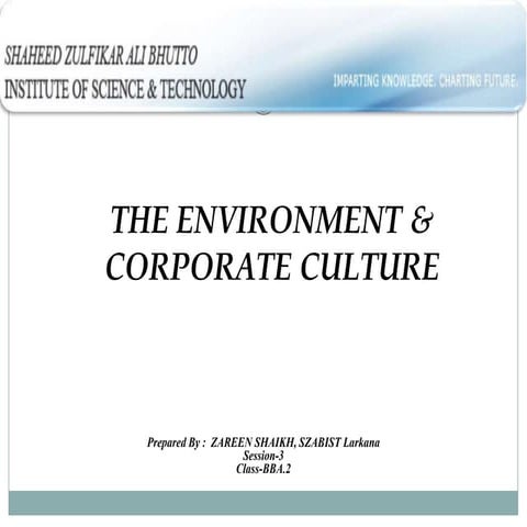 Environment And Corporate Culture 