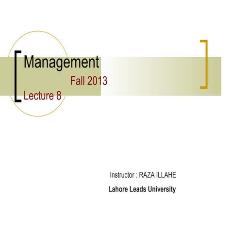 Mgt lecture-8-new By Raza Illahi