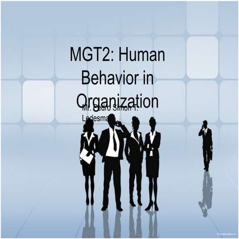 Organizational Behavior