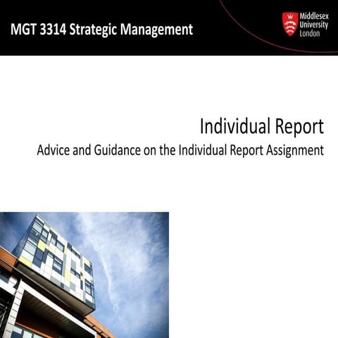 MGT3314 Lecture12-Individual Report Brief.pptx