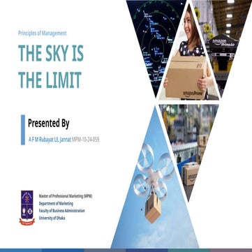 Case Analysis - The Sky is the Limit | Principles of Management