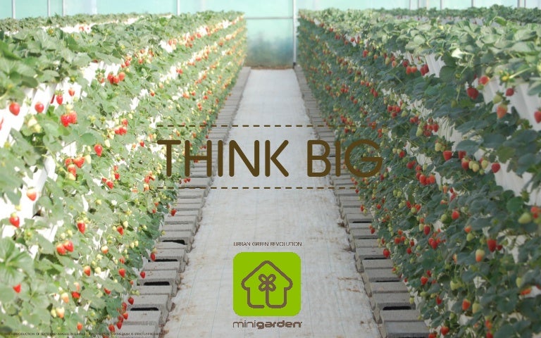 Vertical Farming Solutions