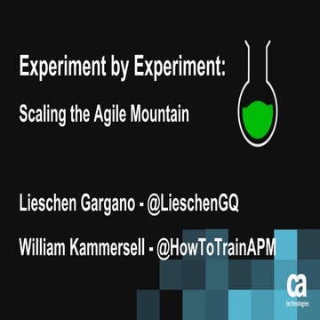 MHA2018 - Experiment by Experiment: Scaling the Agile Mountain - Lieschen Gar...