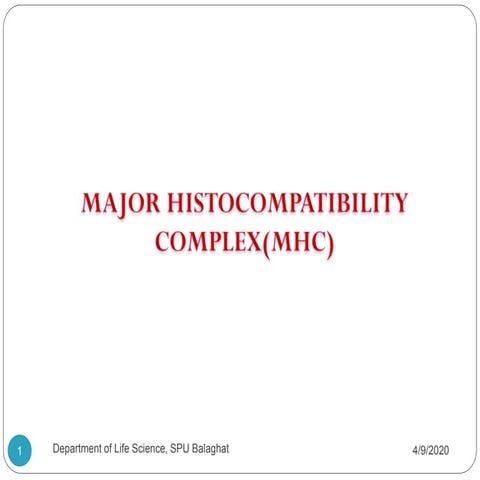 Major Histocompatibility Complex (MHC)