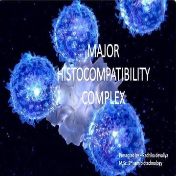 Major Histocompatibility Complex and Its Role in Immune System Function ...