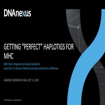 Jason Chin MHC diploid assembly