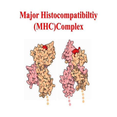 MHC--M.Sc--III sem--07.07.20.pptx