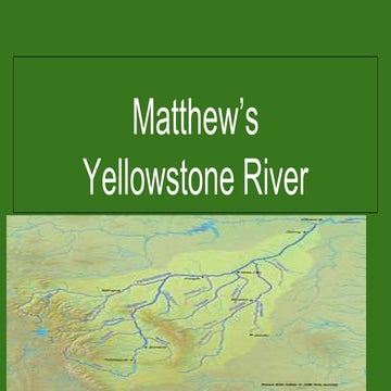Matthew's Yellowstone River