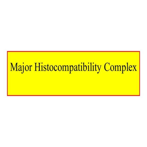 Major Histocompatibility complex12345678
