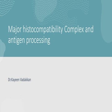 Antigen processing and MHC