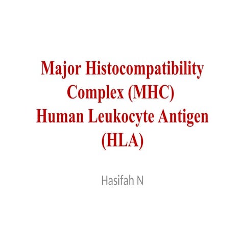 MHC and HLA_2024.ppt habib medical School