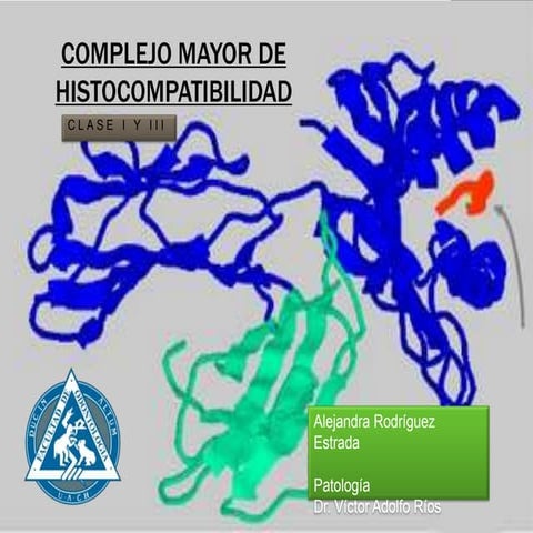 Complejo mayor de histocompatibilidad I y III (1 y 3).