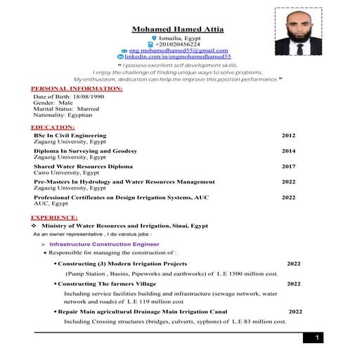 Mohamed Hamed Resume