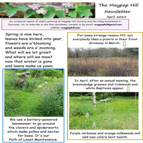 MH Newsletter December 2025.pdf; native plants; natural land use ...