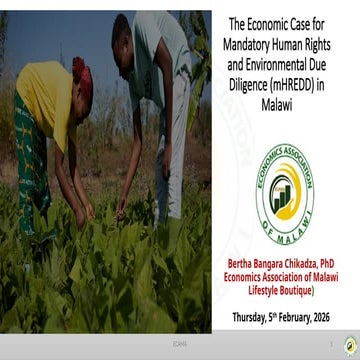 mandatory Human Rights and Environmental Due Diligence presentation.pptx