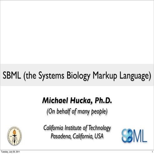 SBML (the Systems Biology Markup Language)