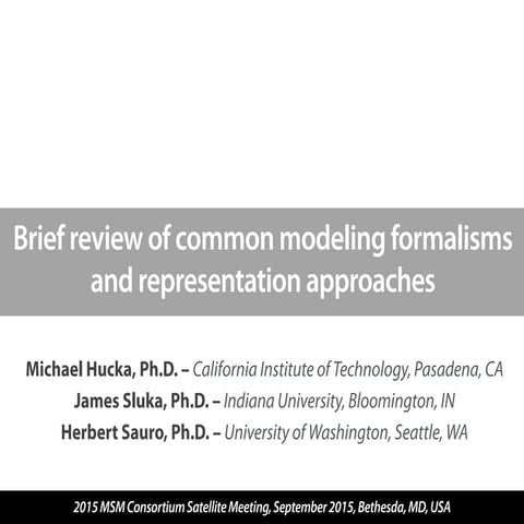 Brief Review of Common Modeling Formalisms and Representation Approaches