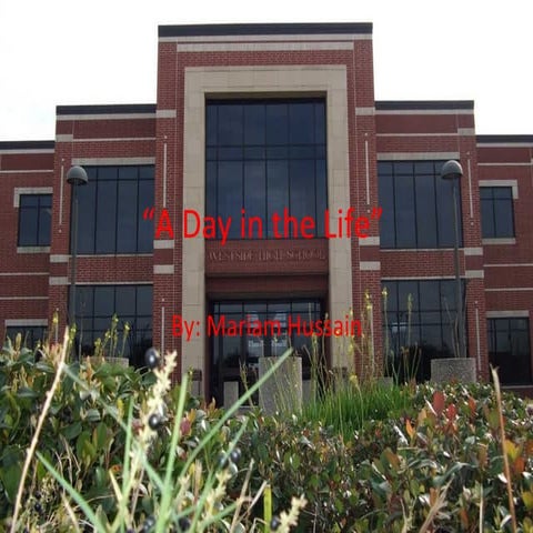 M hussain a day in the life