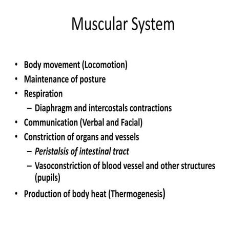 Functional and anatomy of skeletal muscle