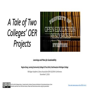 A Tale of Two Colleges' OER Projects: Learnings and Plans for Sustainability