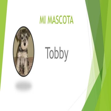 Mi mascota tobby