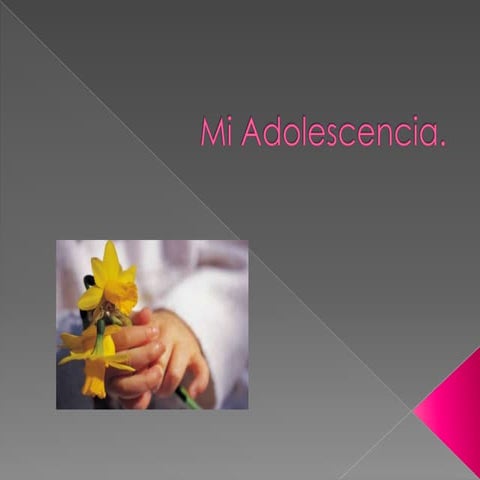 Mi adolescencia