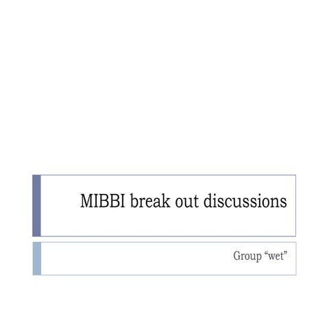 Mibbi break out discussions - wet group