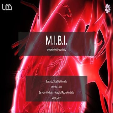 Mibi | PPTX